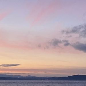 Meet your Posher, Mia